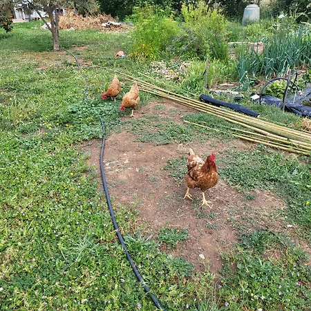 Maison Jumelée Clôturée Apartamento