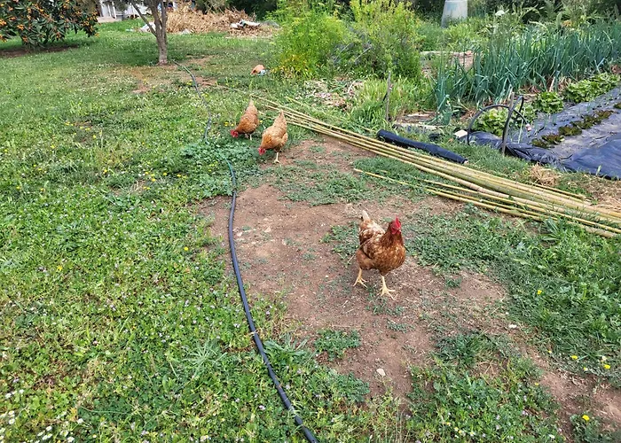 Maison Jumelee Cloturee 公寓